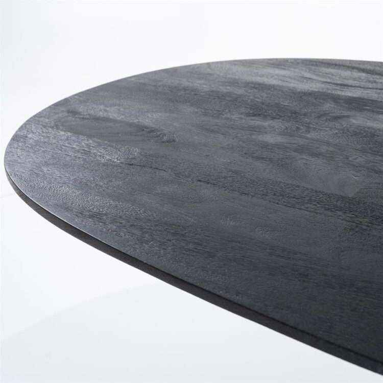 Aron - Table - 300cm x 110cm - Ovale - Noir